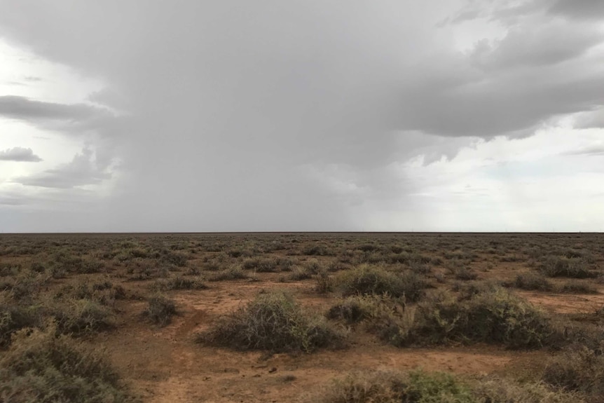 Dry, dusty ground stretching to the horizon. There are big grey clouds in the overcast sky.