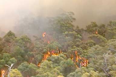 Three houses have been destroyed at Anakie in western Victoria as bushfires continue to rage throughout the state.