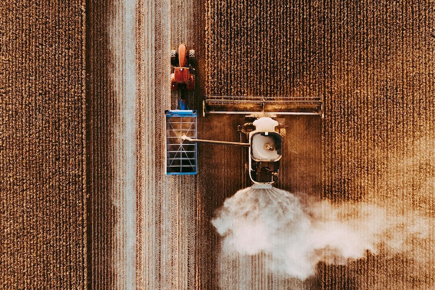 looking down on a harvester and bin chaser working in the field  