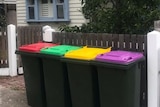 Four bins with red, green, yellow and purple lids sit in a row on the footpath outside a house.