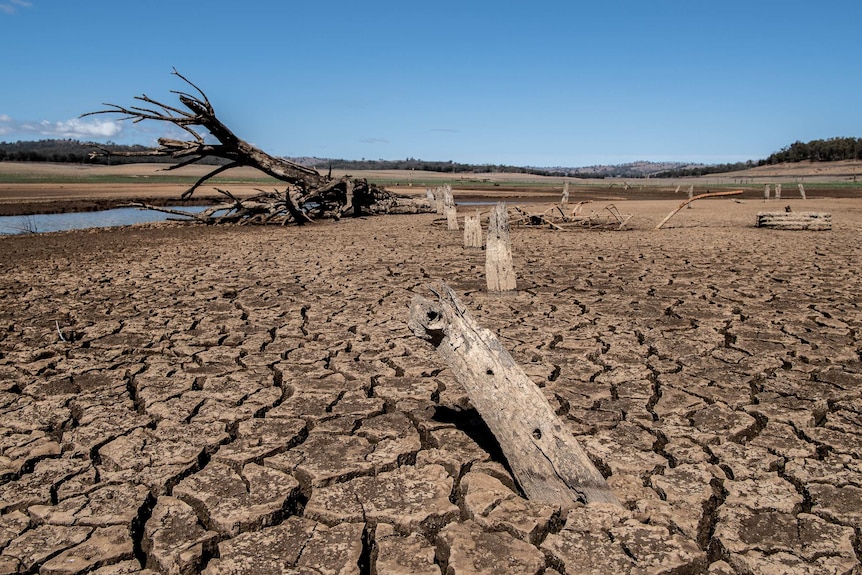 A line of rotted out old fence posts are seen poking out of the cracked earth.