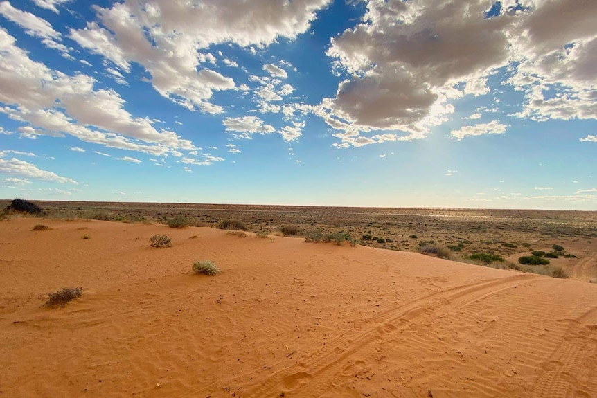 A big red sand dune in the outback under a bright blue sky dotted with white clouds.