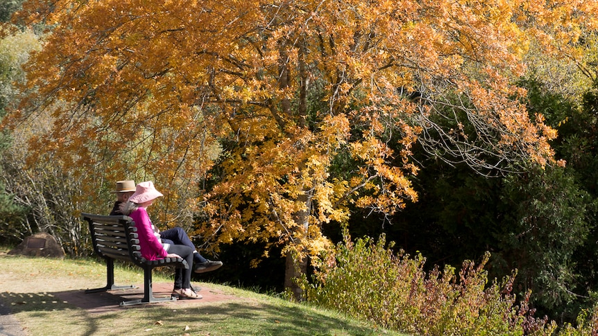 A couple sitting on a seat in the Mount Lofty Botanic Gardens.