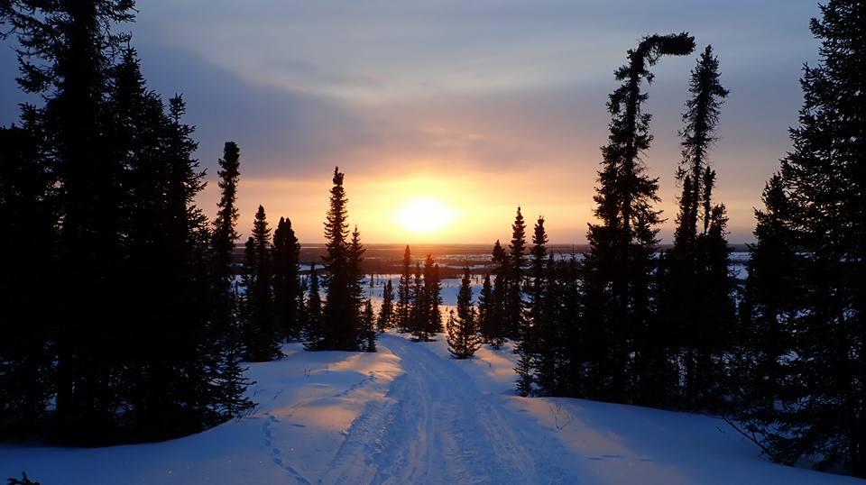 A sunset over a snow-covered forest in Alaska.