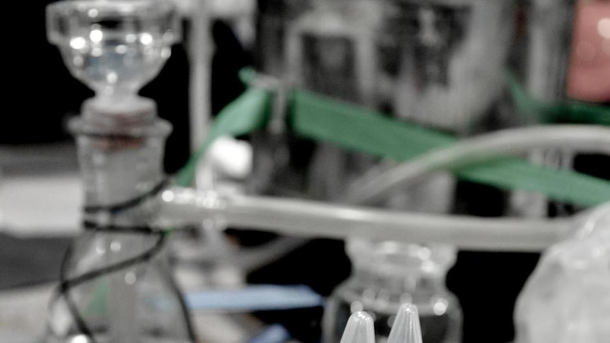 Samples in a science lab aboard the Aurora Australis