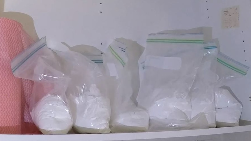 Several large ziplock bags filled with white powder.