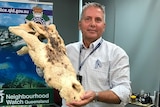 Geoffrey Marsh holds the skeleton head of a crocodile