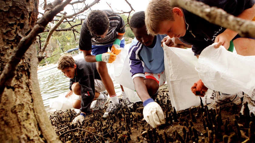 Students clean up on Sydney foreshore