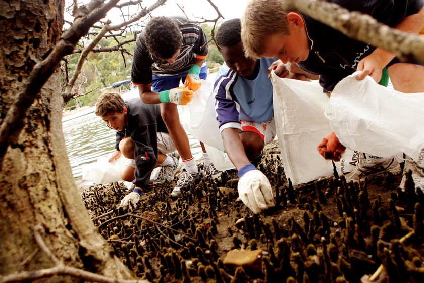 Students clean up on Sydney foreshore