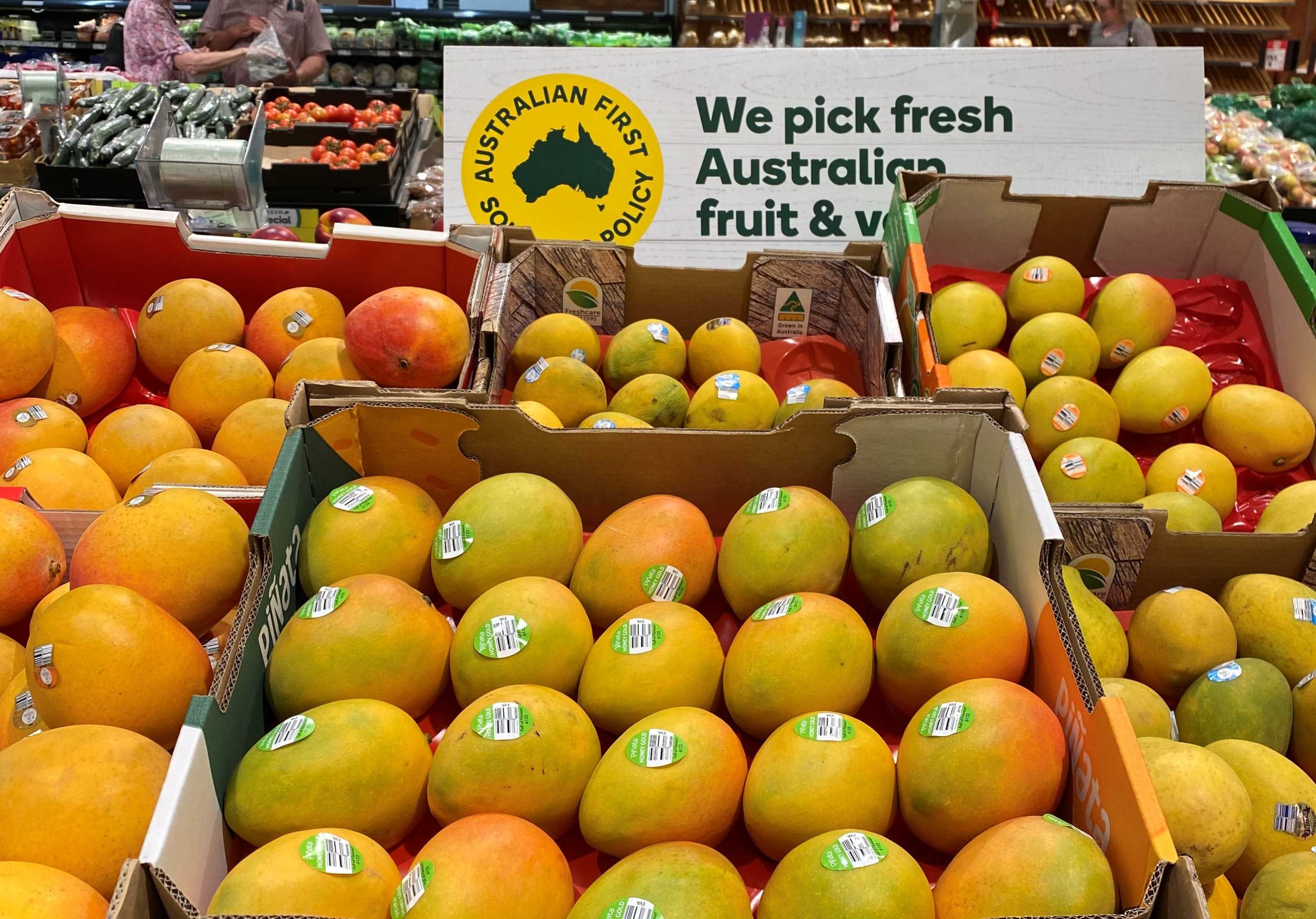Mango growers produce bumper crop in Central Queensland despite tough