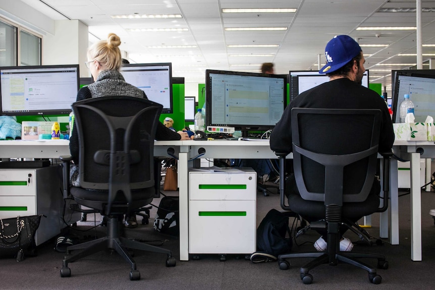 Two workers sit at desks at zipMoney, a Sydney start-up