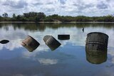 Barrels have submerged in water, mangroves, sand and blue sky in the background.