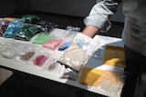 Police seized MDPV powder and made two arrests