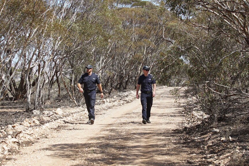 Two policemen walk on a dirt road surrounded by trees