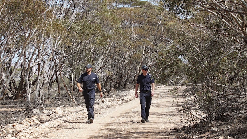 Two policemen walk on a dirt road surrounded by trees