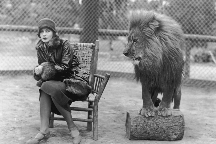 A young girl sitting next to a lion. 
