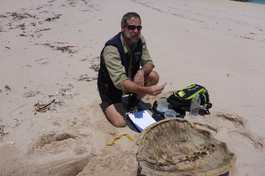 Dr Tony Tucker stands over dead turtle for research. 