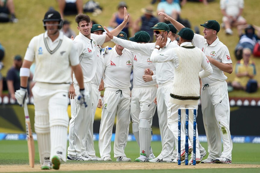 Australian team members congratulate Mitchell Marsh after taking the wicket of Corey Anderson