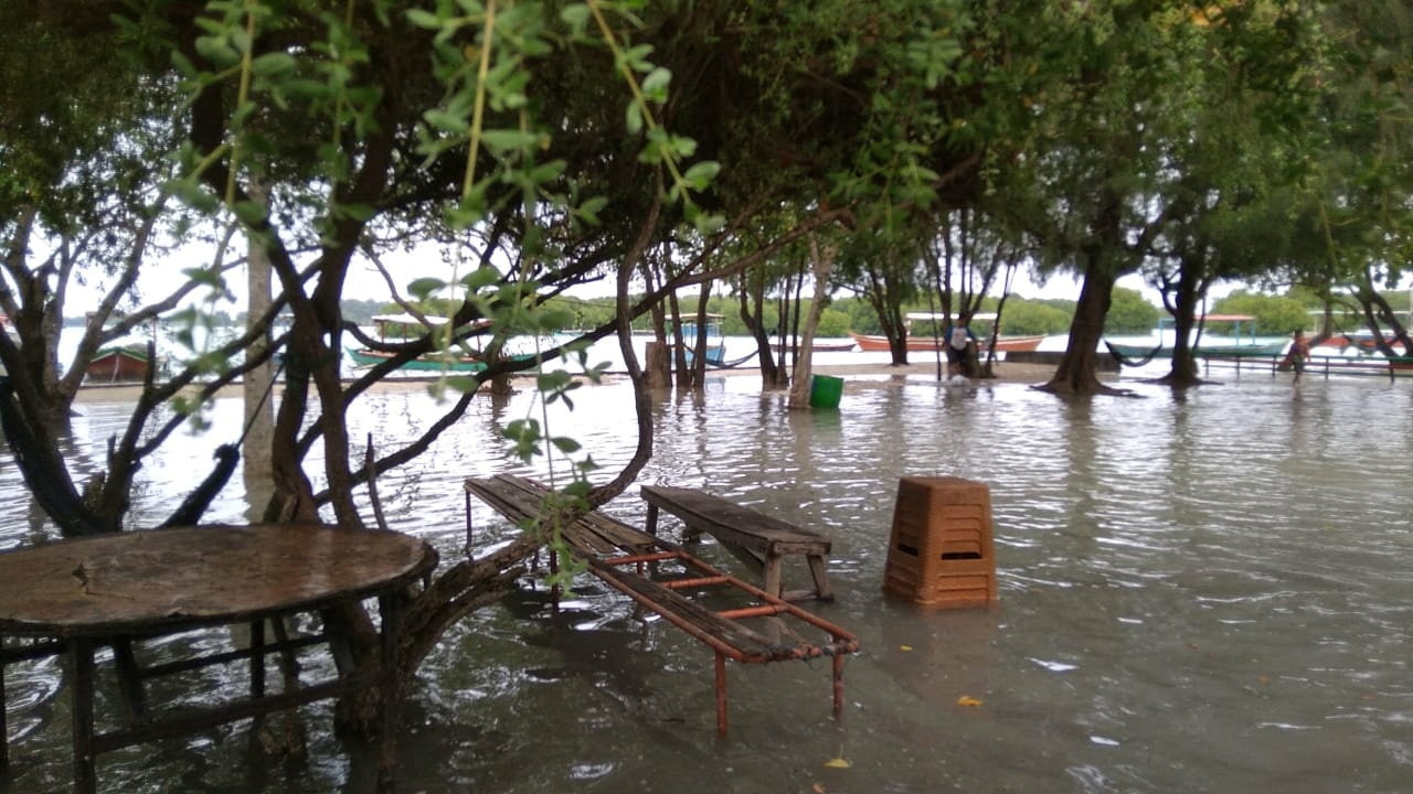 A água inunda uma área próxima ao oceano, com assentos públicos e bases de árvores banhadas pela água.