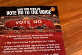 a vote no pamphlet featuring indigenous artwork