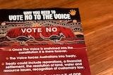a vote no pamphlet featuring indigenous artwork