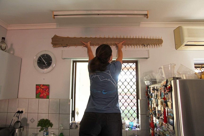 A photo of CDU researcher Christy Davies on a step ladder, pulling down a rostrum from a kitchen wall.