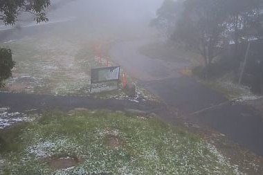 Snow on the ground at Tobaggan Park, at Mount Baw Baw.