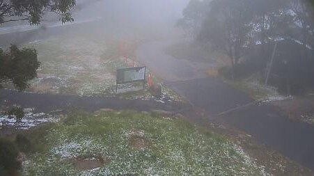 Snow on the ground at Tobaggan Park, at Mount Baw Baw.