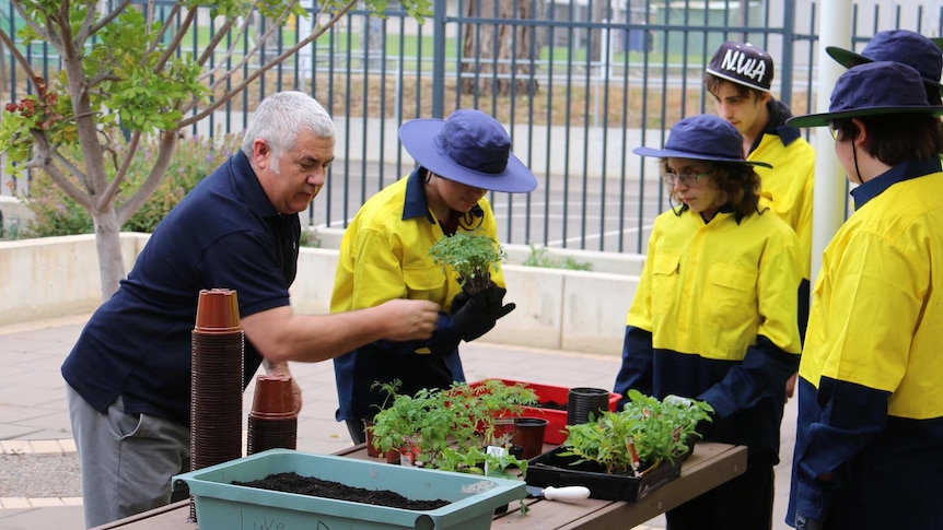 Students stand around boxes of plants.