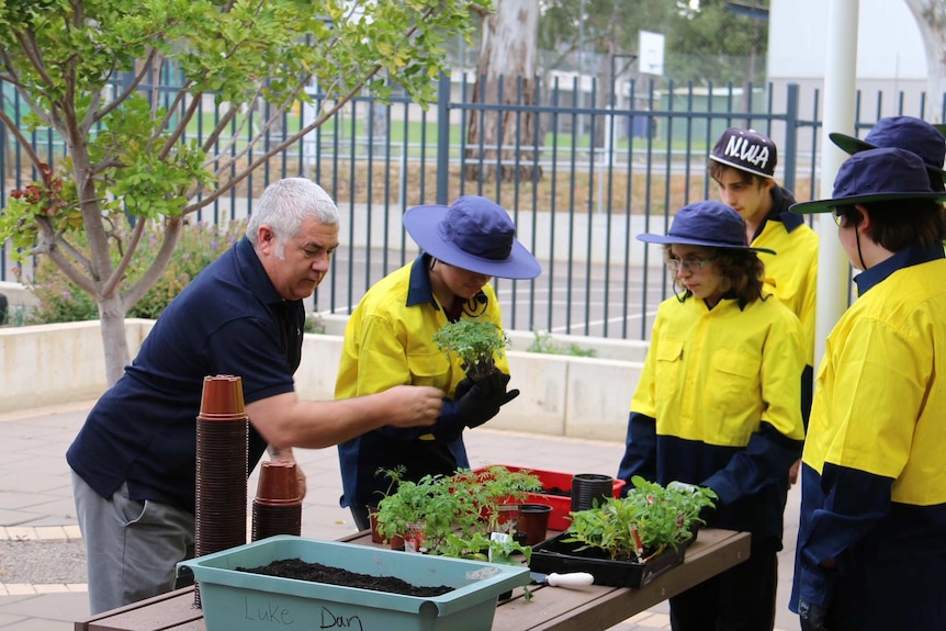 Students stand around boxes of plants.