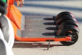 A line up of Neuron electric scooters