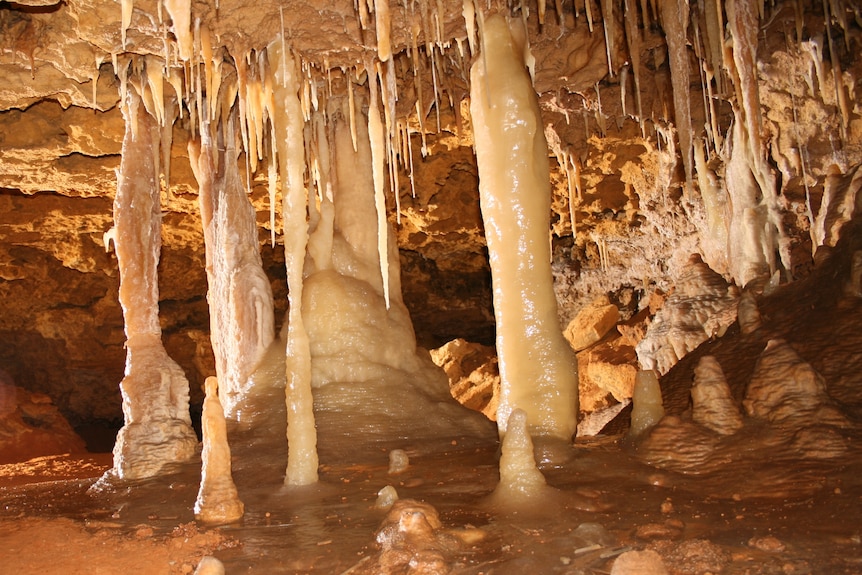Pale mineral deposits in a cave.