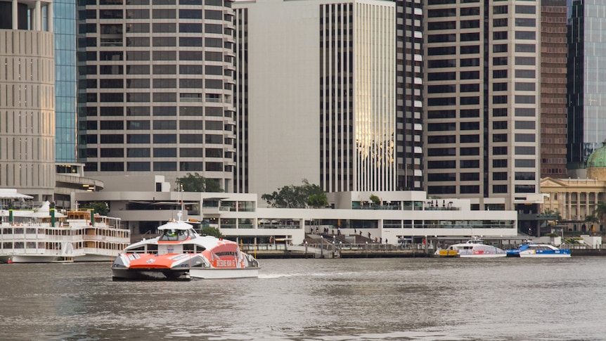 CityCats zip in and out of the main CBD ferry spots in the heart of Brisbane.