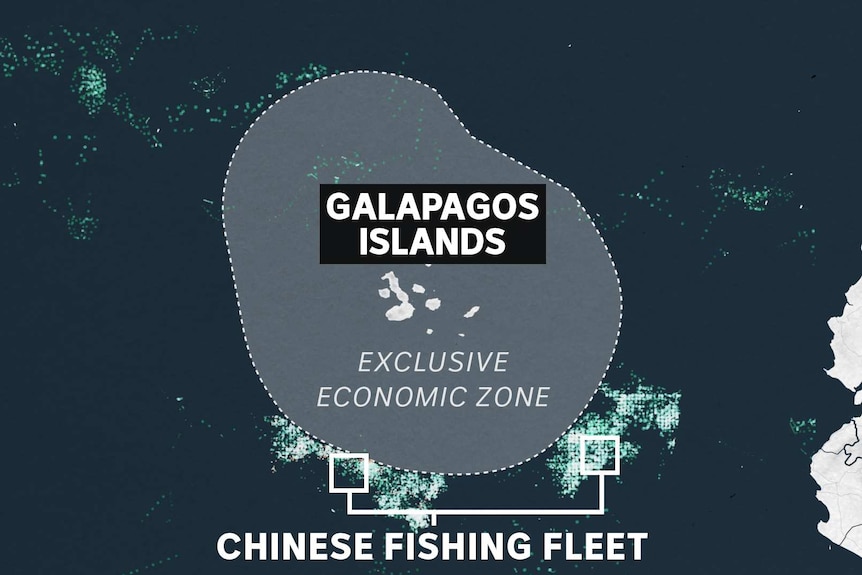 A map with satellite overlay showing the location of Chinese fishing boats near the Galapagos Islands EEZ in 2020.