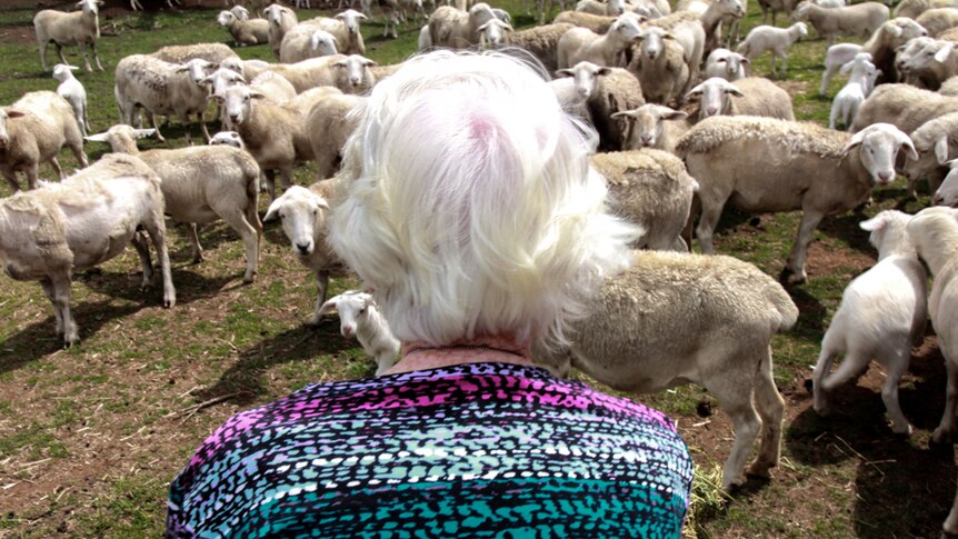 95-year-old Betty Watt looking out at a flock of sheep on the farm in central west New South Wales