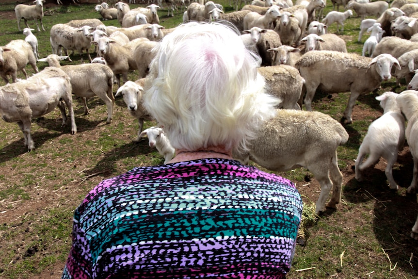 95-year-old Betty Watt looking out at a flock of sheep on the farm in central west New South Wales