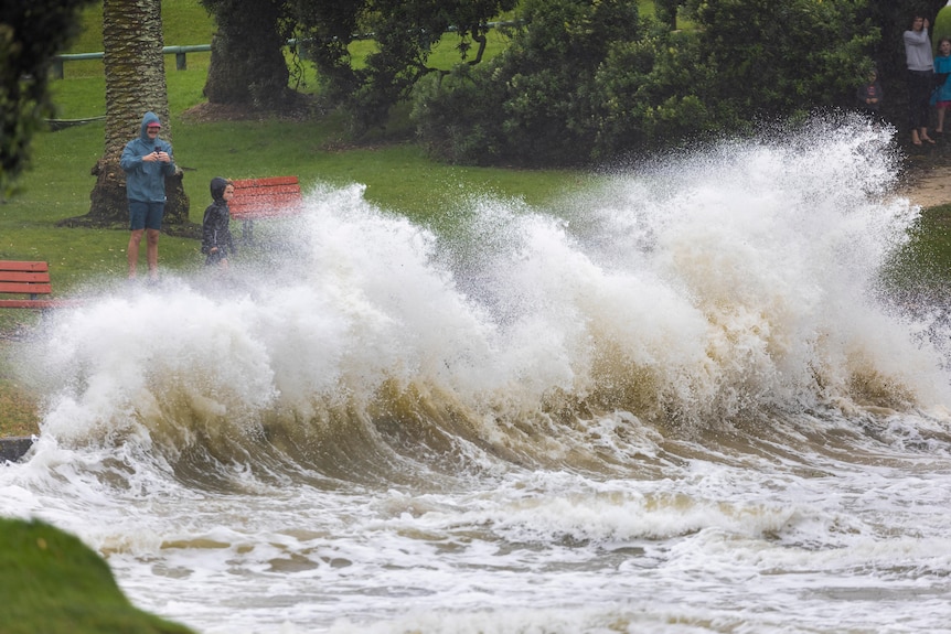 People watch as waves crash against a sea wall at an Auckland beach.