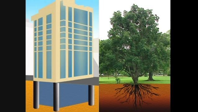 Computer image of building showing foundations, tree with roots below surface on righthand side