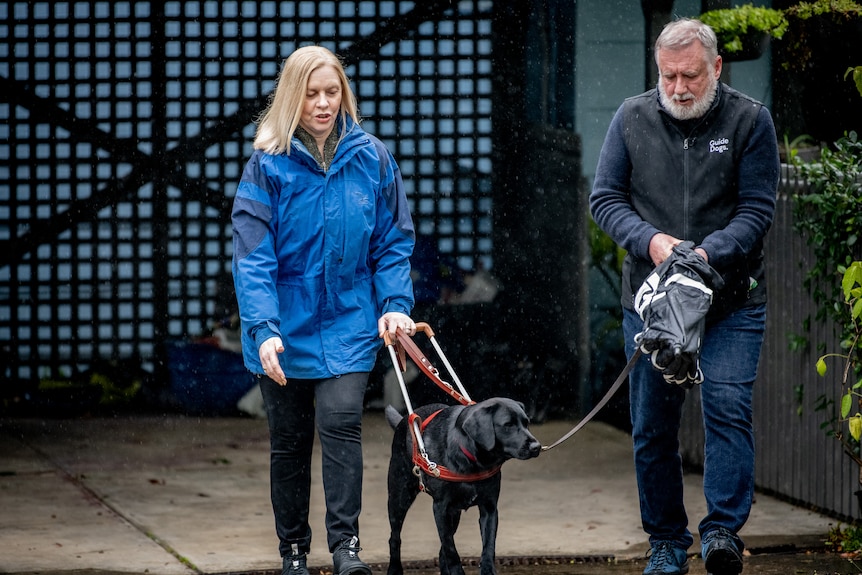 Donna, wearing a deep blue raincoat, is accompanied by Doug as they take Ava on their first walk together..