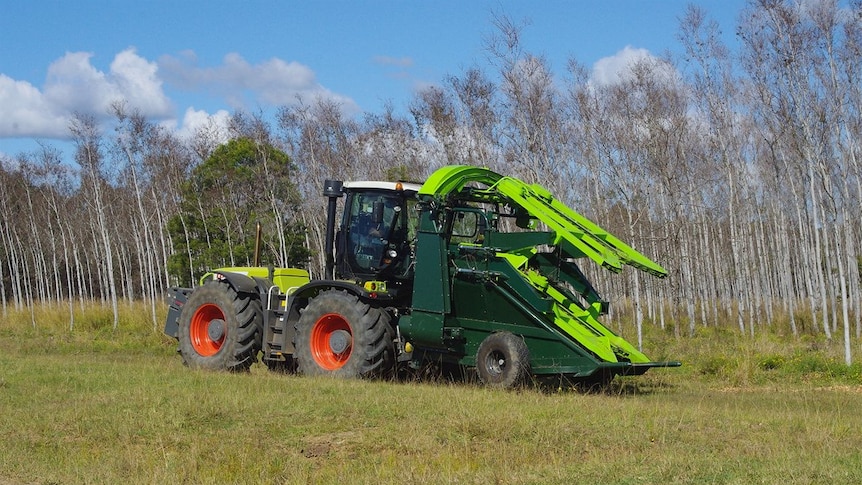 Harvester collecting biomass for biofuel production