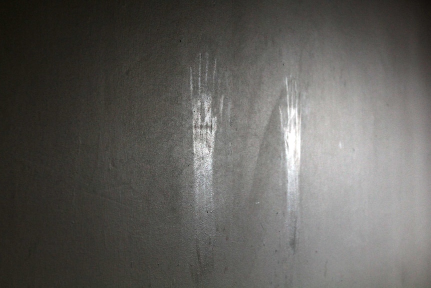 Small hand prints on a wall