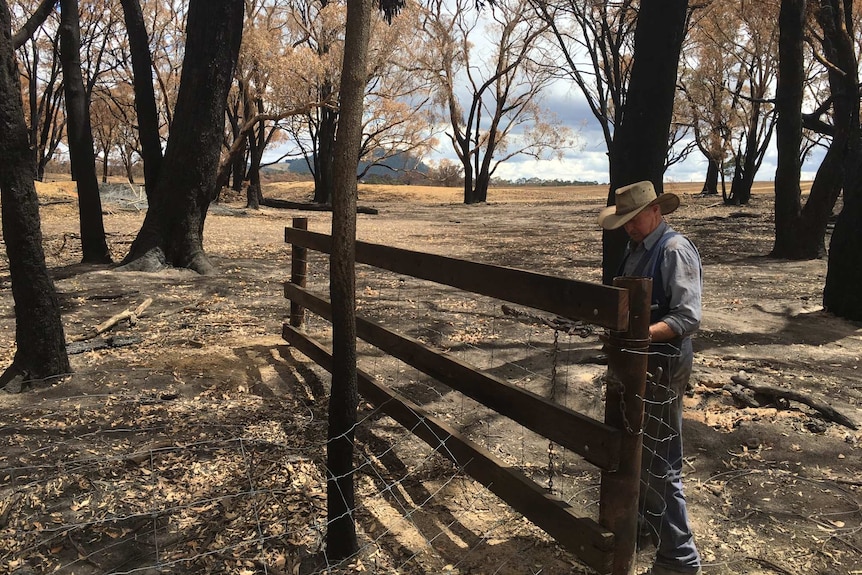 Graham Shearer inspecting fencing on his Scotsburn, Victoria property.