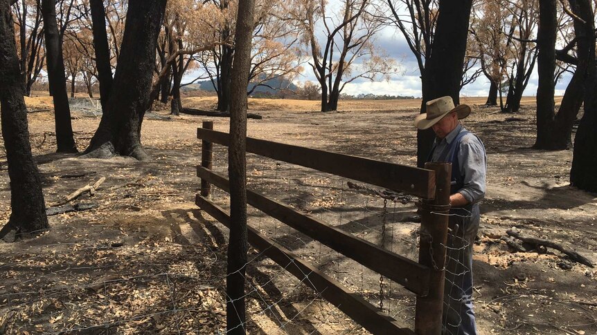 Graham Shearer inspecting fencing on his Scotsburn, Victoria property.