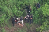 Police swarm on a man lying on the ground in bushland, as seen from above.
