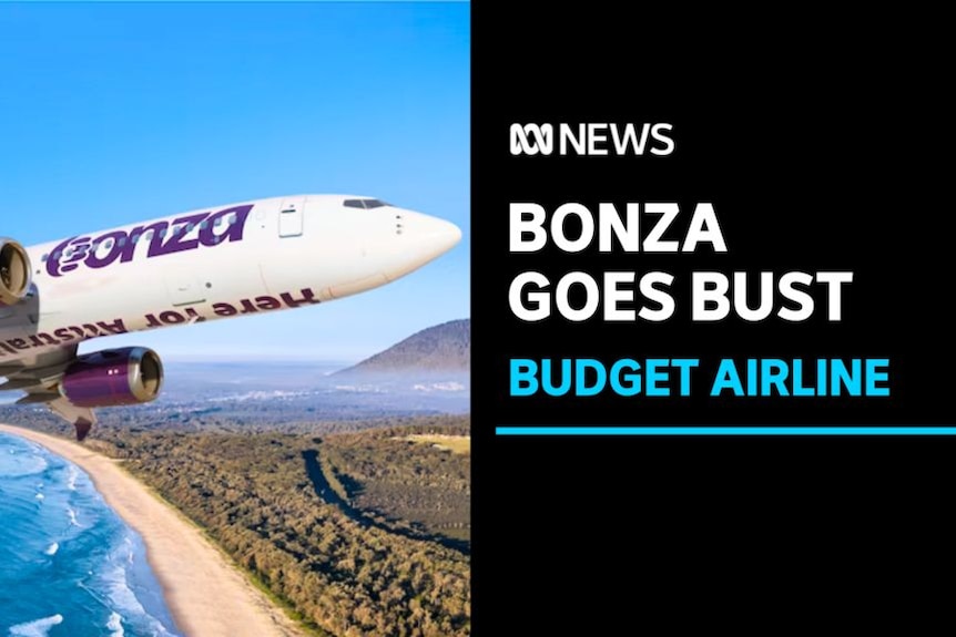Bonza Goes Bust, Budget Airline: A graphic impression of a Bonza airliner flying over a tropical beach.