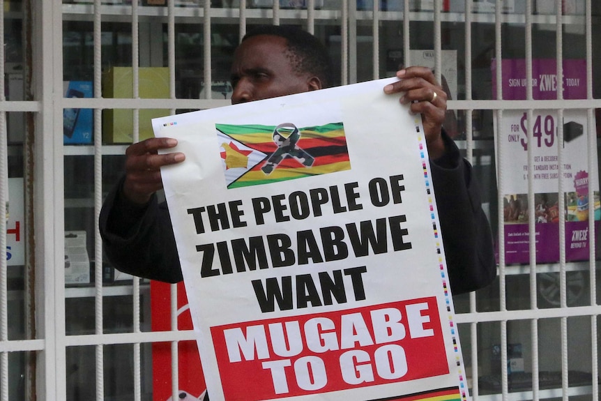 A man carries a poster readinhg "the people of zimbabwe want mugabe to go" alongside  a reworking of the zimbabwe national flag