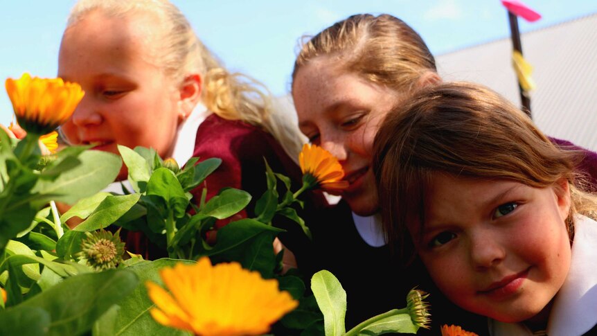 Three girls from St Raphael's school smell flowers in the school's garden