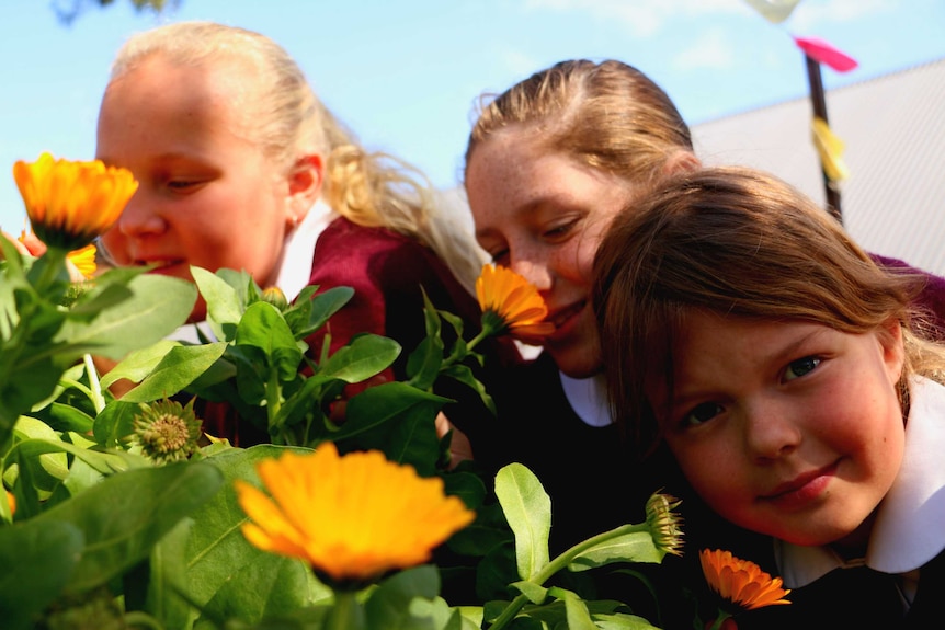 Three girls from St Raphael's schools smelling flowers in the school's garden