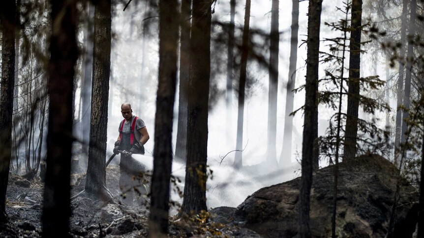 A fireman waters burned forest in western finland