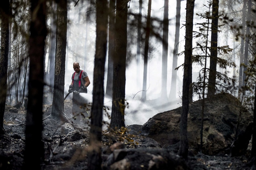 A fireman waters burned forest in western finland